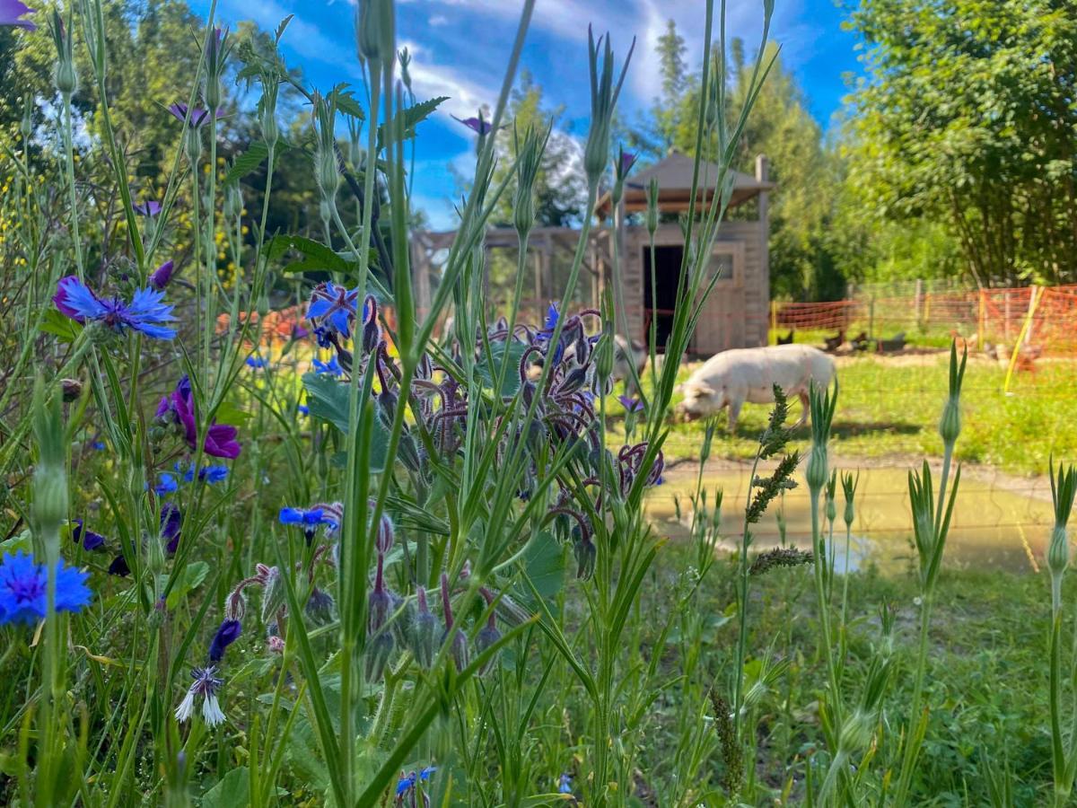 Bed & Wellness Klein Knorrestein With Private Hottub And Sauna And Tandembike Rental Included In Price Almere Bagian luar foto